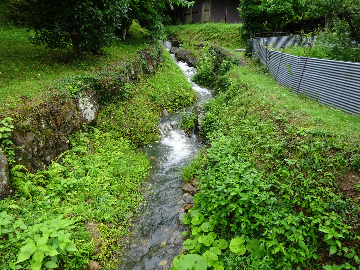 美咲町戸建て物件