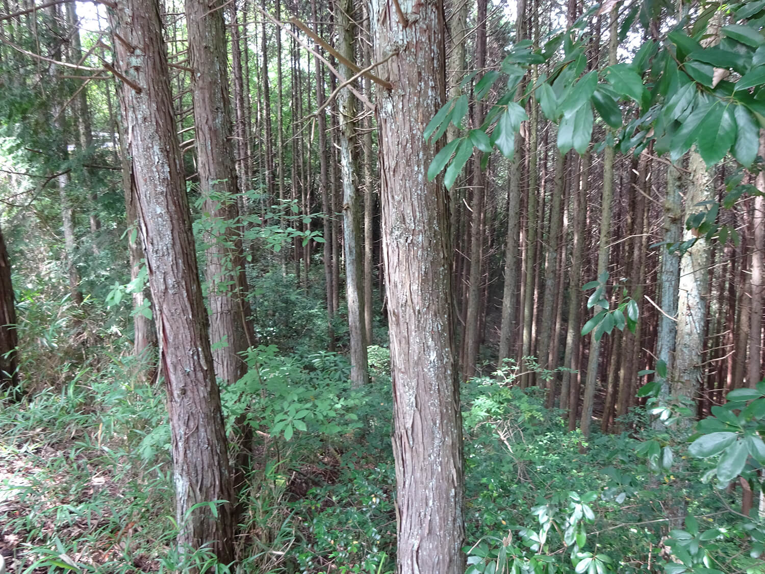 土地の部件