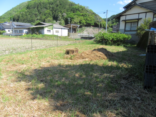 敷地・田んぼ：家庭菜園や米作りも楽しめる広大な土地